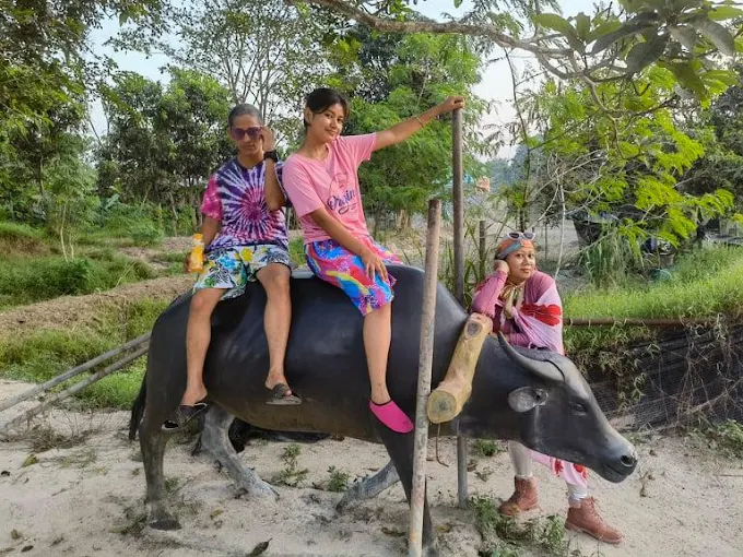 Gambar Kampung Sawah 12