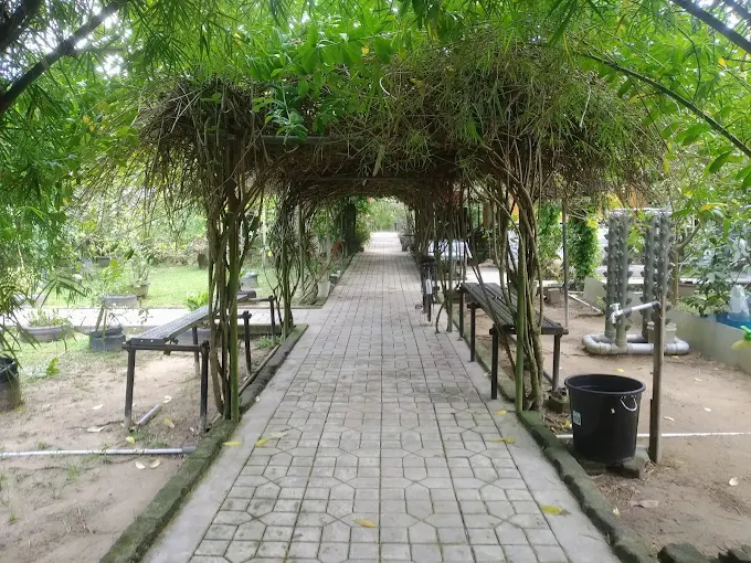 Gambar Kampung Sawah 18