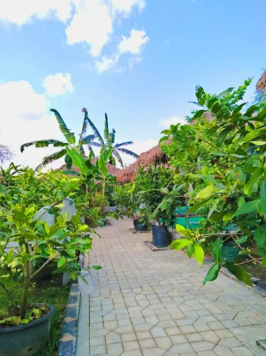 Gambar Kampung Sawah 20