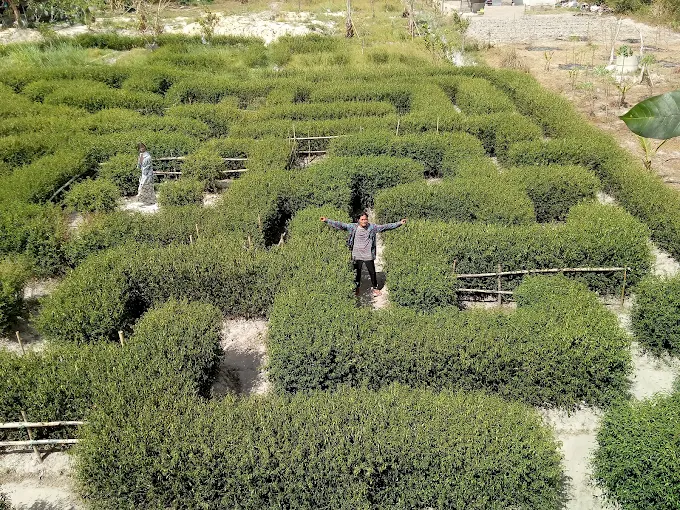 Gambar Kampung Sawah 22