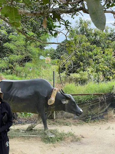 Gambar Kampung Sawah 24