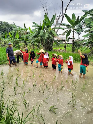 Gambar Kampung Sawah 27