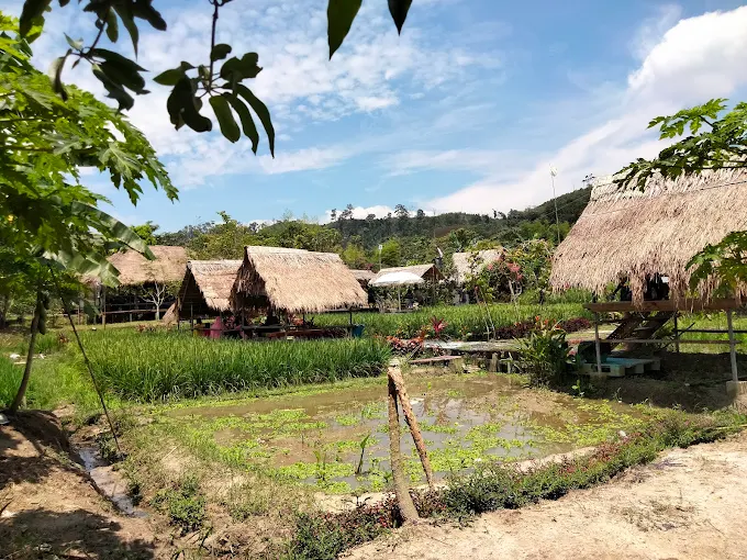 Gambar Kampung Sawah 28