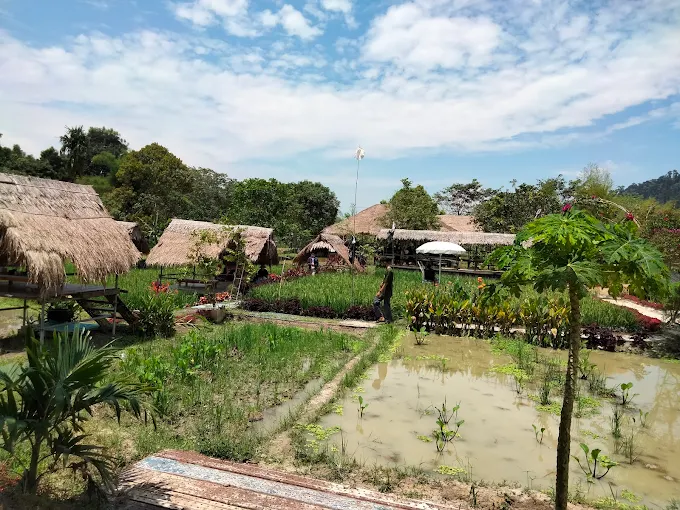 Gambar Kampung Sawah 3