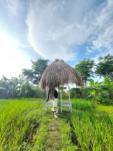 Gambar Kampung Sawah 4