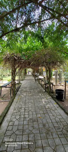 Gambar Kampung Sawah 5