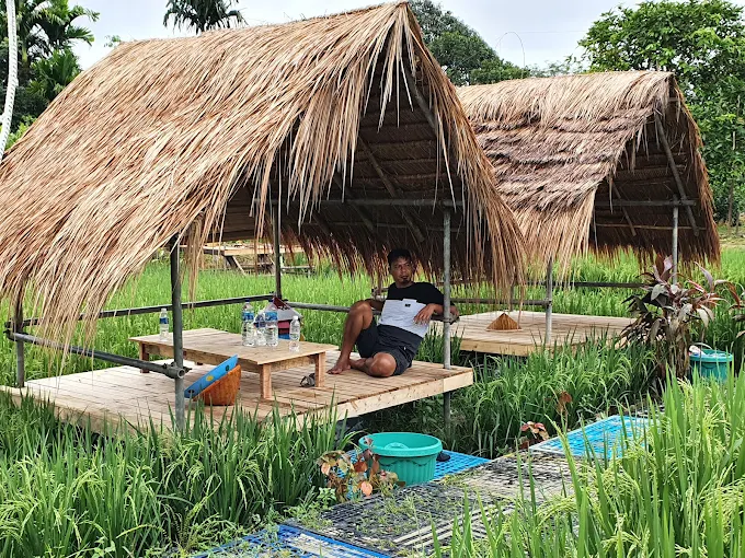 Gambar Kampung Sawah 6