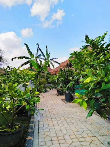 Gambar Kampung Sawah 8